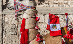 Cusco cultura viva